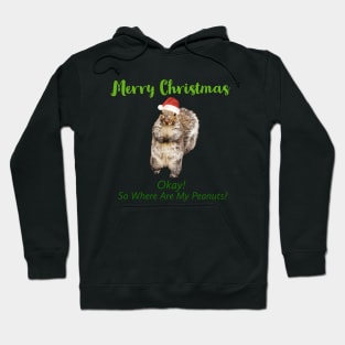 Squirrel With Santa Hat T-shirt Hoodie